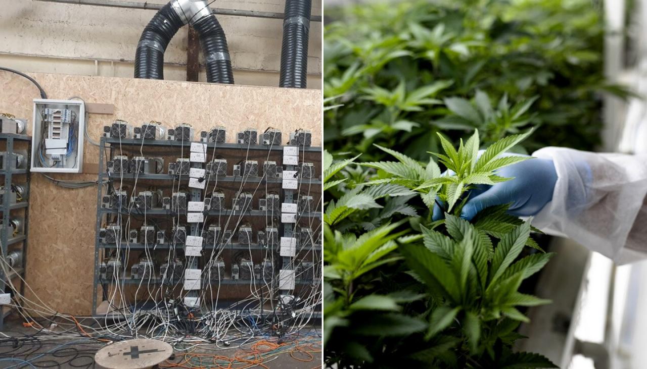 Uk Police Raid On Suspected Cannabis Factory Finds Cryptocurrency Mining Operation Instead Newshub