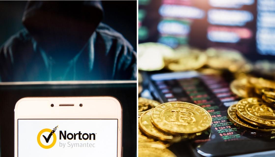 norton crypto mining profitability