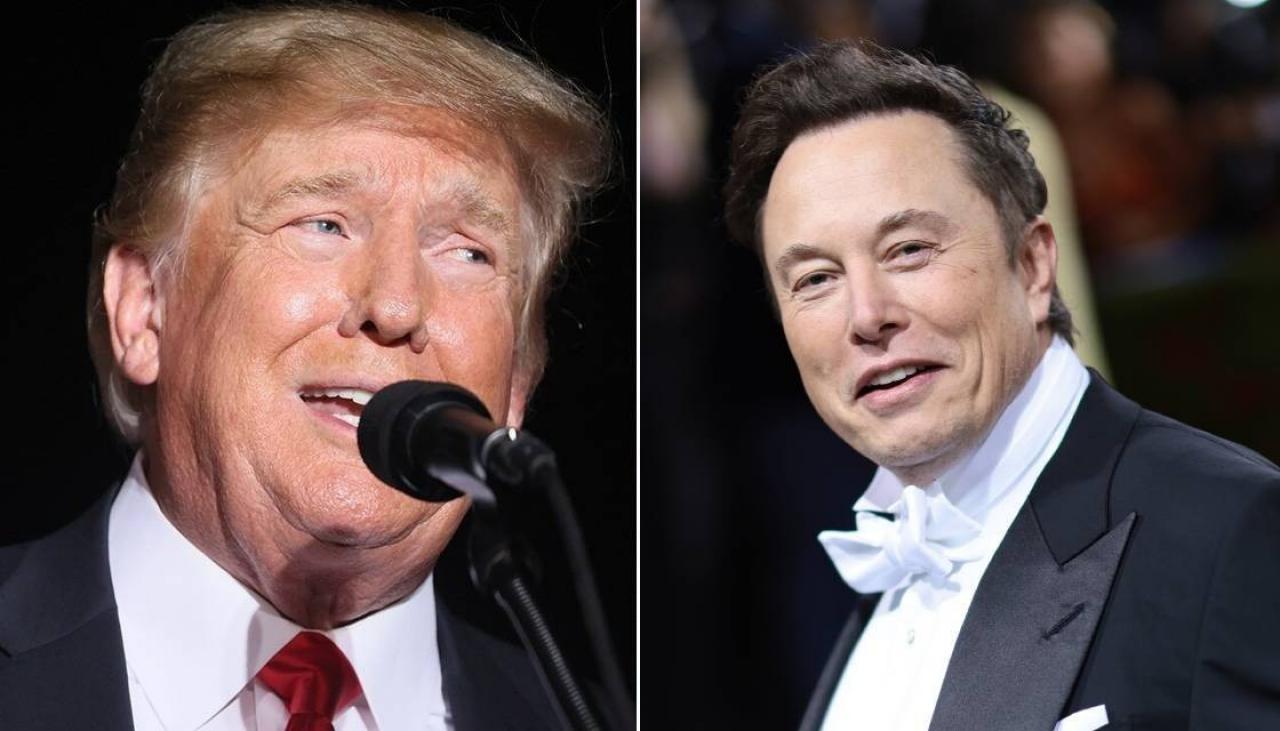 Elon Musk Says Donald Trumps Twitter Account Will Be Reinstated After Users Vote In Online 