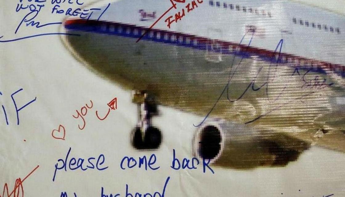 Mh370 British Man Claims To Have Found Wreckage In Cambodian Jungle On 1881