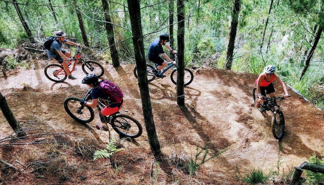 haw ridge mountain biking