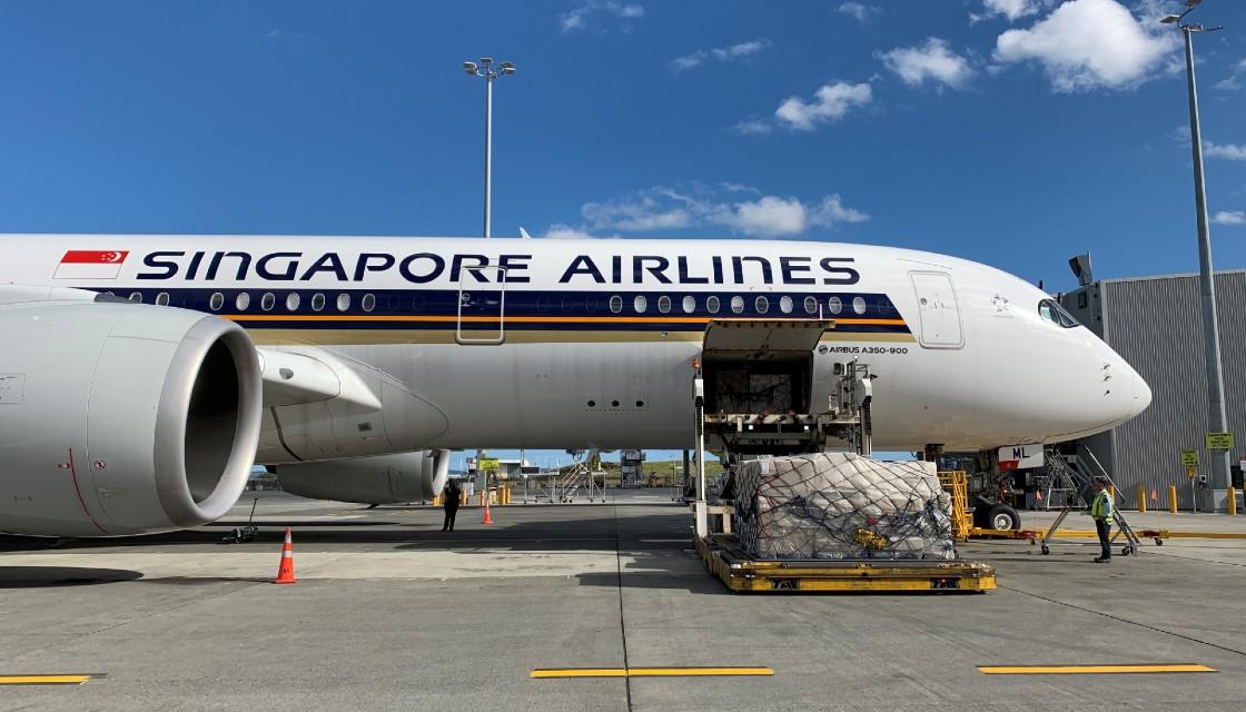 https://www.newshub.co.nz/home/travel/2020/05/singapore-airlines-reinforces-commitment-to-nz-during-covid-19-crisis/_jcr_content/par/image.dynimg.full.q75.jpg/v1590366837142/SINGAPORE-CARGO-FLIGHT-1120.jpg