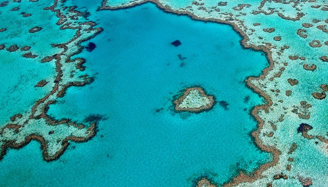 Great Barrier Reef kept off UNESCO 'in danger' list after intense ...