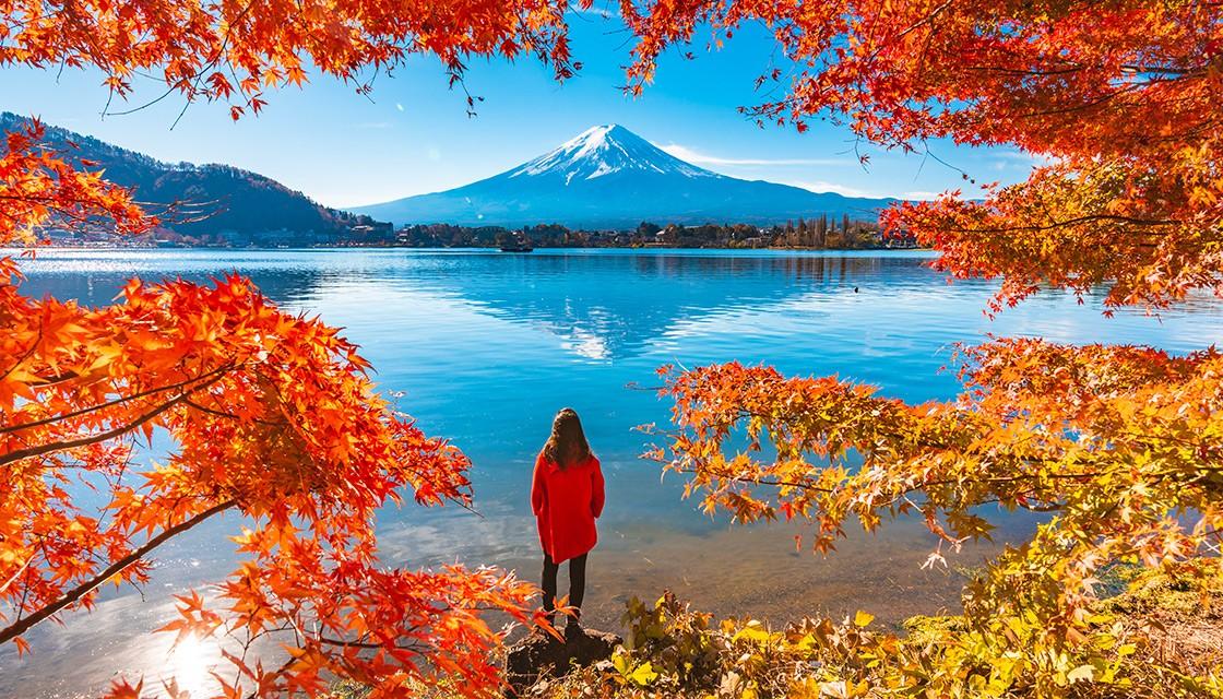 japan travel nz