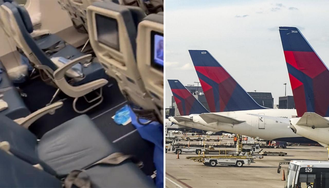 Delta flight forced to turn around because of diarrhoea incident | Newshub