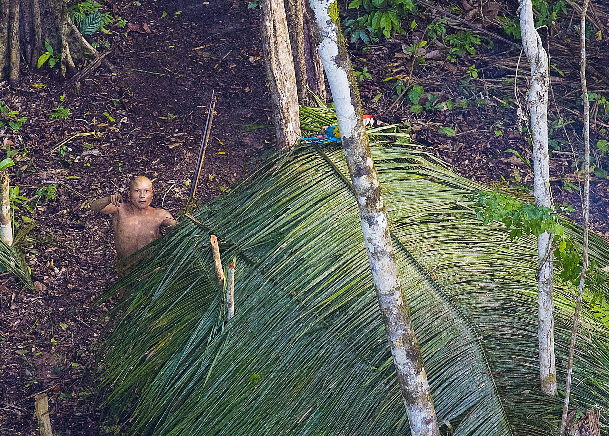 Amazing first photos of uncontacted Amazonian tribe Newshub