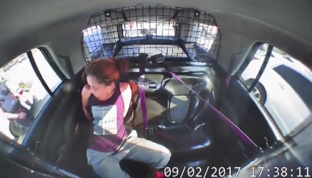 Woman Breaks Out Of Handcuffs And Steals Police Car | Newshub