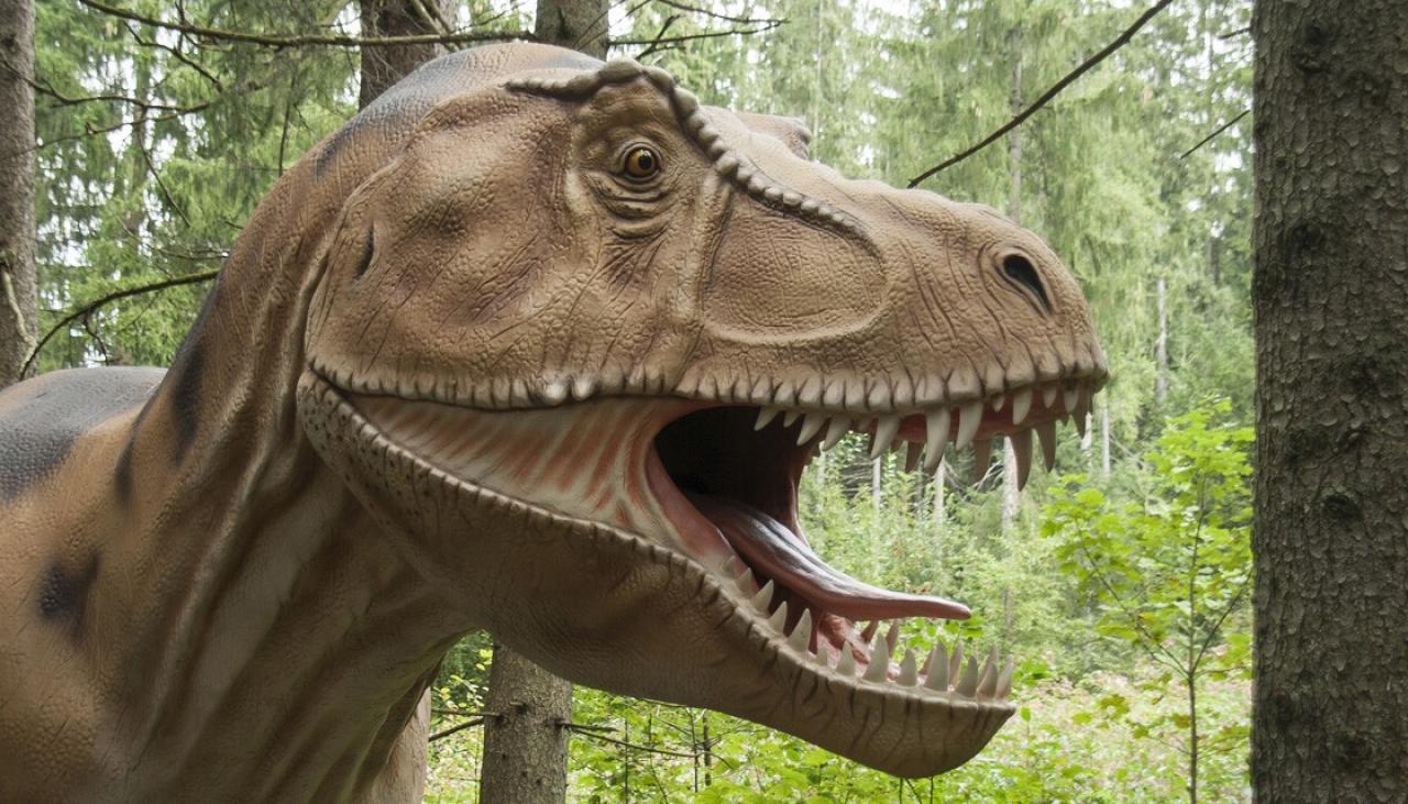 T Rex Couldnt Extend Their Tongues Despite Hollywood Depictions Report Newshub
