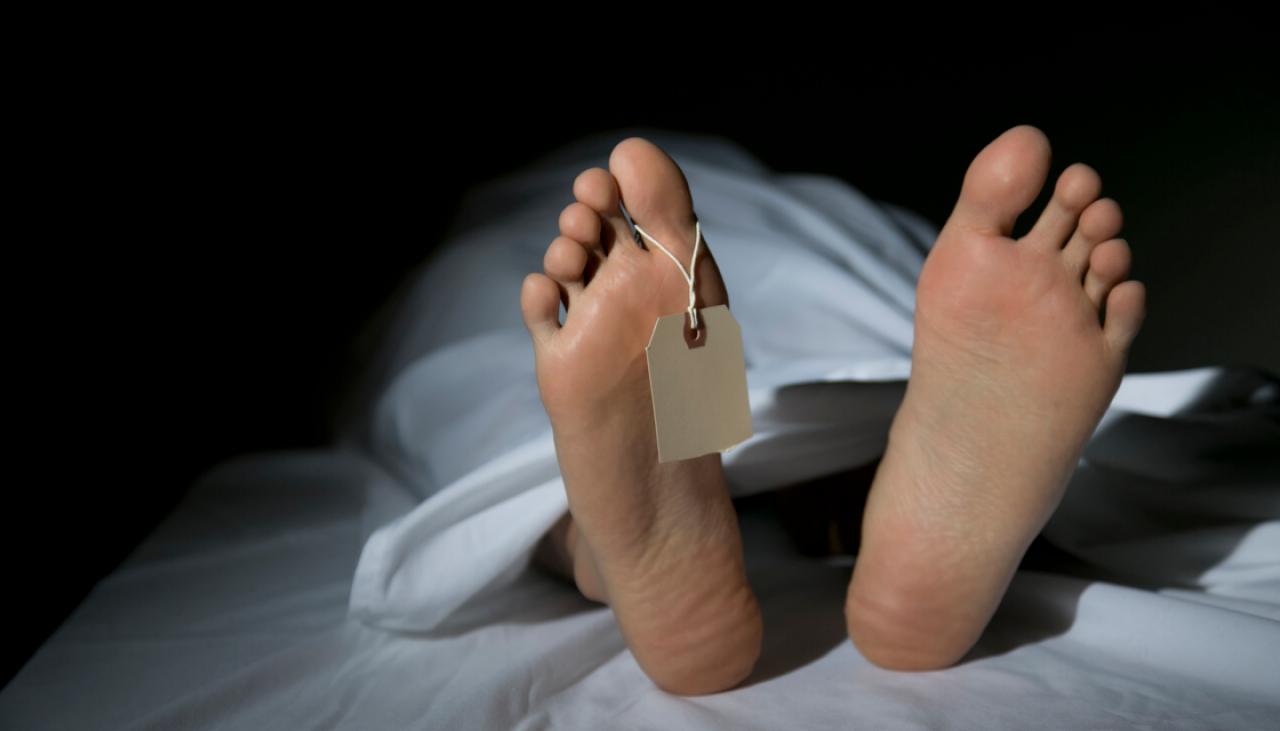 South African woman discovered alive in morgue fridge ...