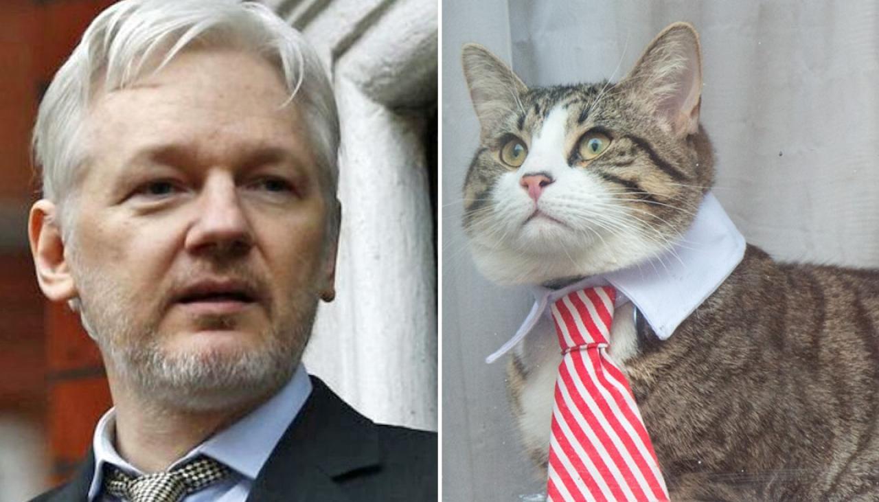 Julian Assange's arrest raises question of what happened to James the