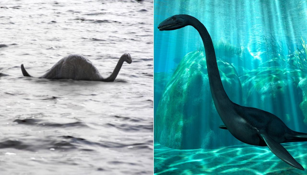 The loch ness monster has a. Loch Ness Monster. Эласмозавр. Животные похожие на Несси. Несси фото.