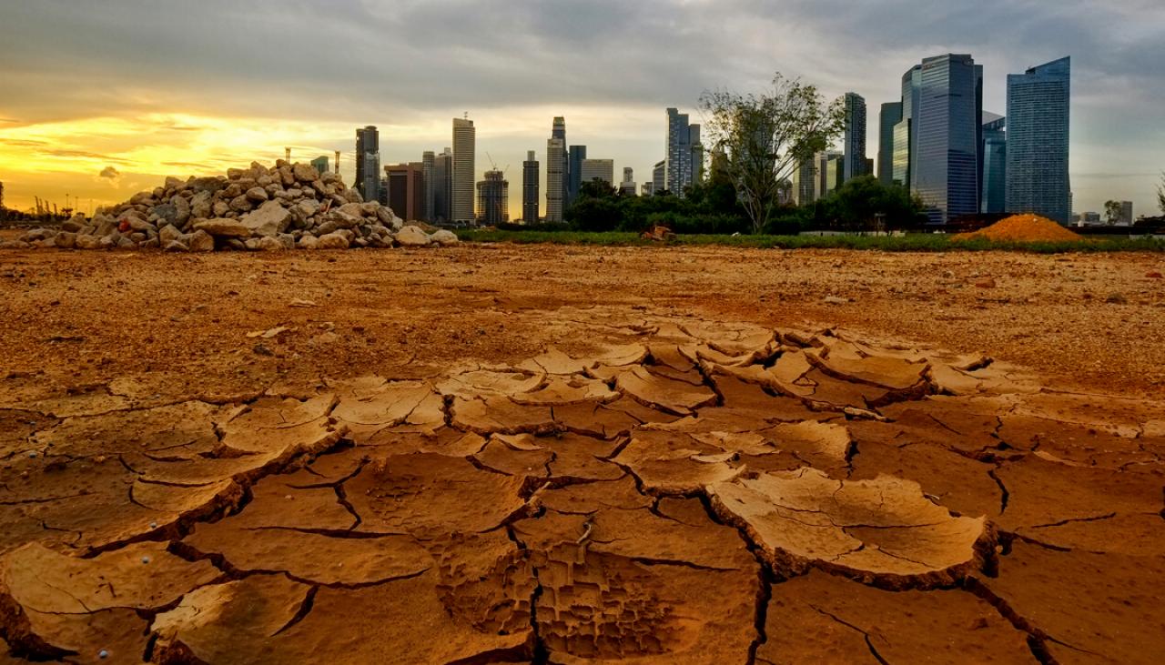 Climate Emergency Declared: 11,000 Scientists Warn Of 'untold Human ...