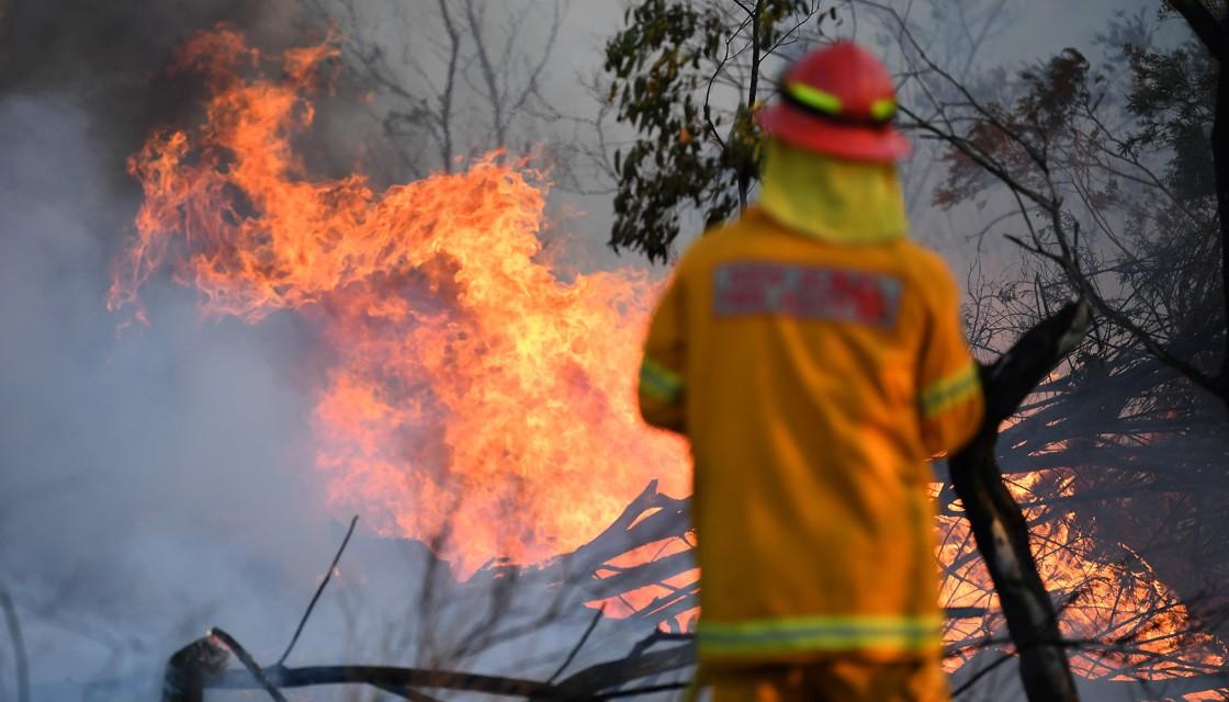 State Of Emergency Declared In New South Wales Following Devastating Bushfires Newshub 8633