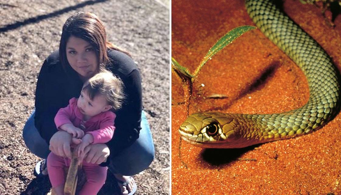 Australian Mum Almost Dies After Venomous Snake Bites Her In Her Bed ...