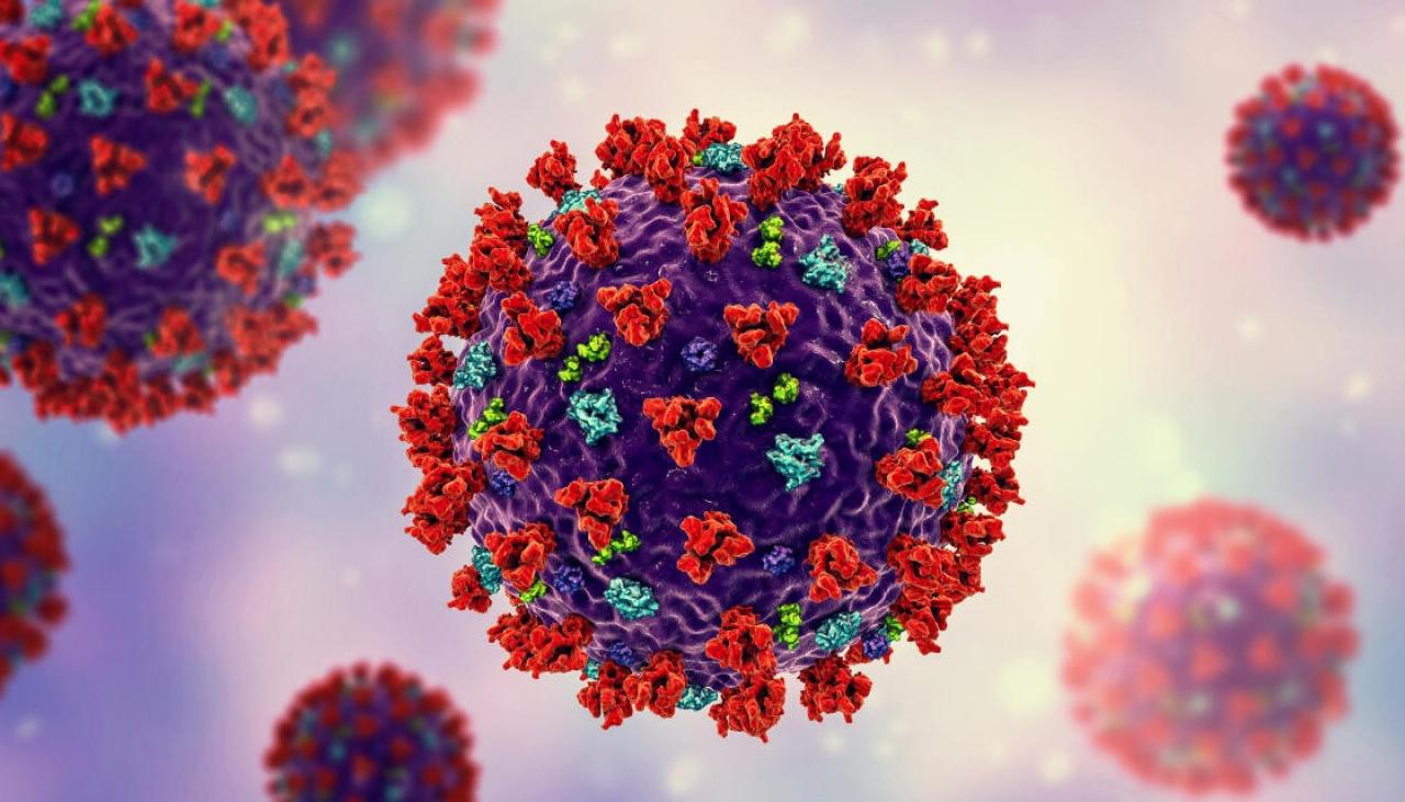 Coronavirus: Slow evolution of the COVID-19 virus show it's 'honing the