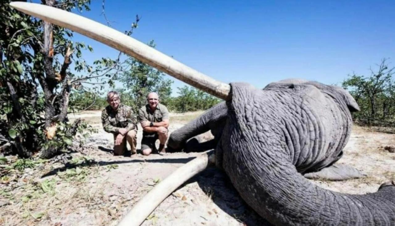 Photo: Lugard — The World's Biggest Big Tusker Elephant