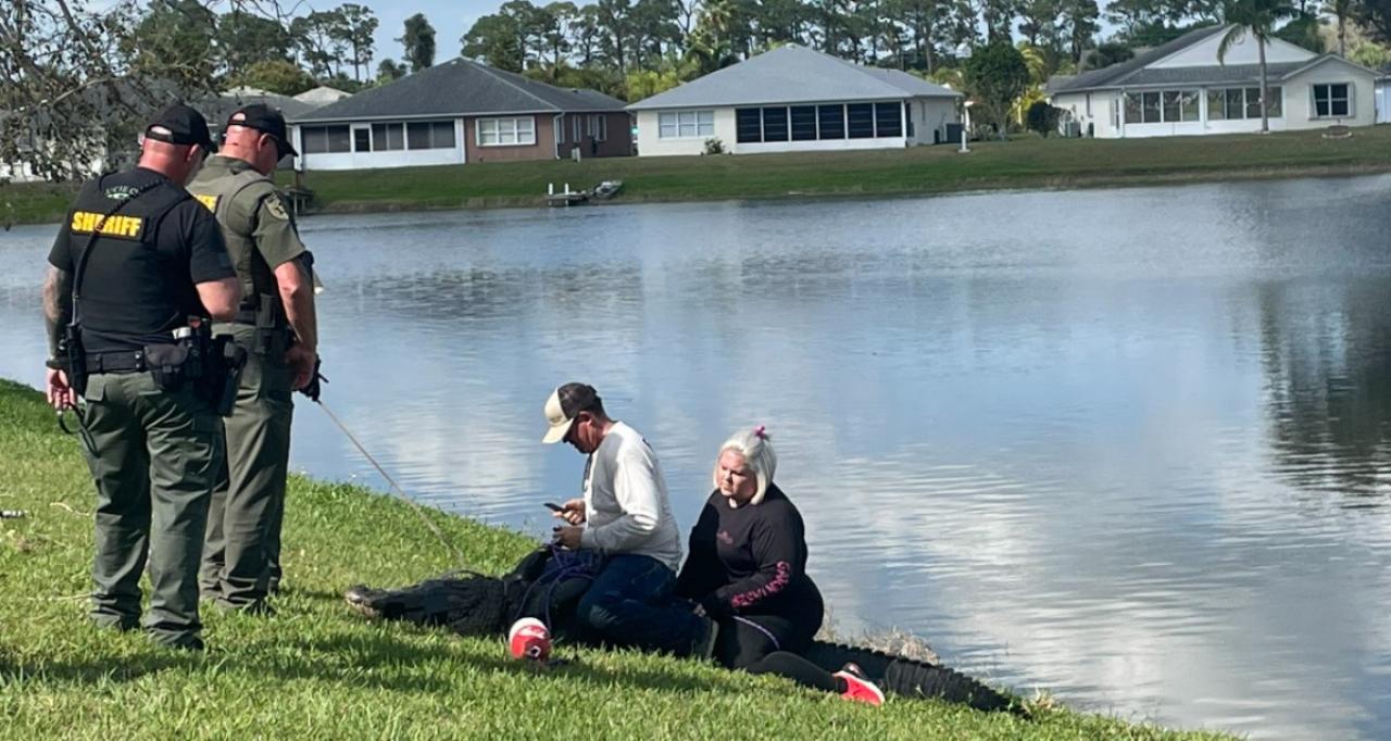 Florida woman killed after alligator drags her into lake Newshub