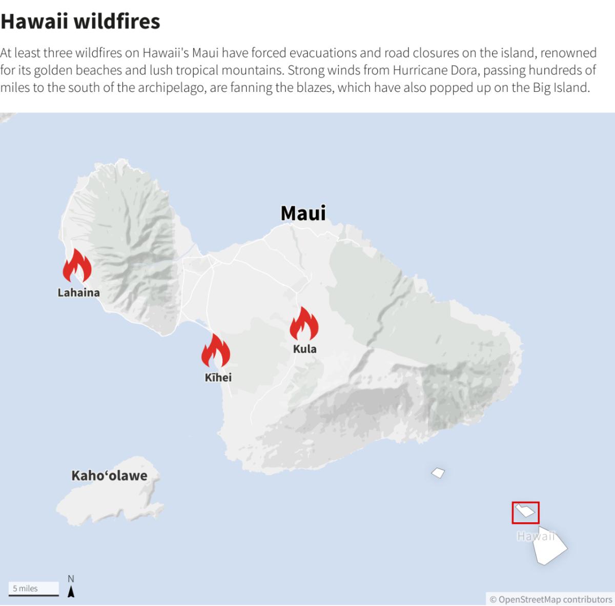 At least six dead in wildfires in Maui, Hawaii, residents forced to