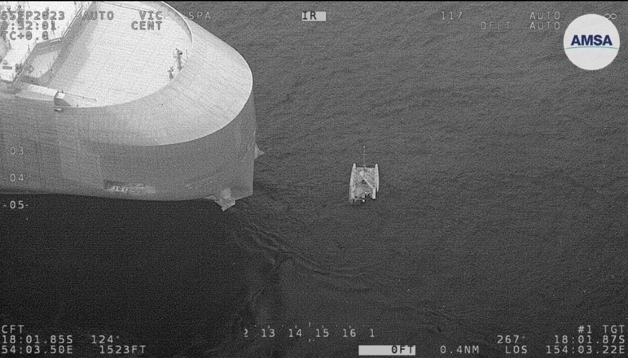 sharks attack catamaran in australia